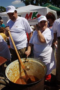 IMG 4477