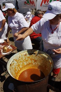 IMG 4479