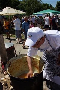 IMG 4484