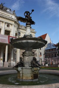 IMG 8435