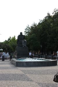 IMG 8449