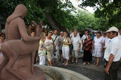 IMG 8454