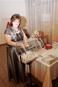 dz IMG 8770