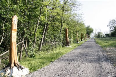 Esterázy János kálváriája