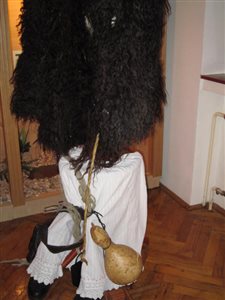 IMG 0037