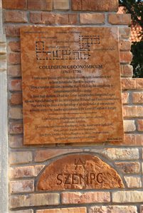 img 0292 resize