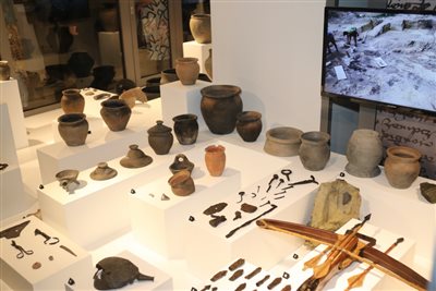 img 7923 resize