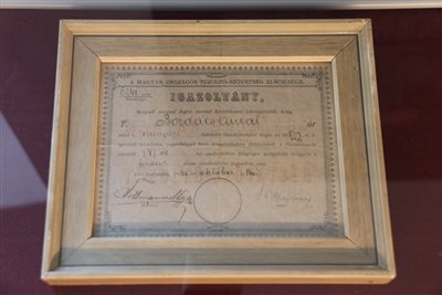 img 1740 resize