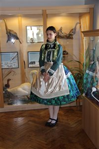 img 6591 resize