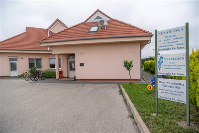 nezabudka 2