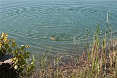 IMG 0022