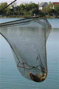 IMG 0024