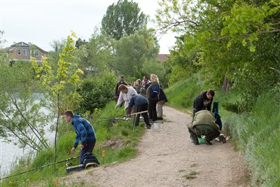IMG 0077