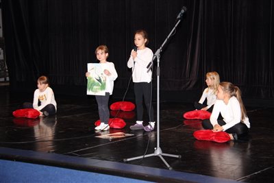 img 2083 resize