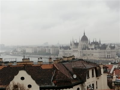 halzl budapest 100