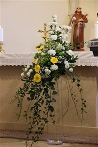 img 7352 resize