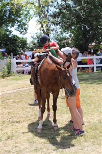 img 7904 resize