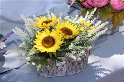 img 7941 resize