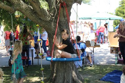 img 7968 resize