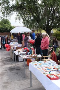 img 0888 resize