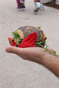 img 0914 resize