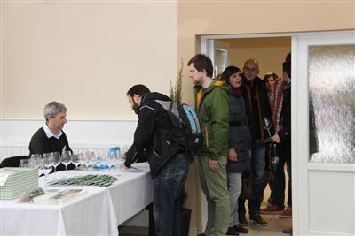 img 2342 resize