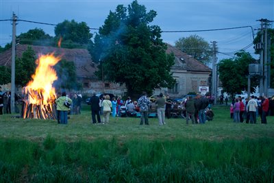 IMG 0346 ozs