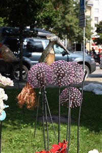 img 5776