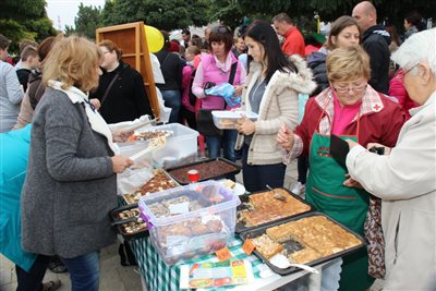 img 8621 resize