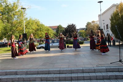 img 1463 resize