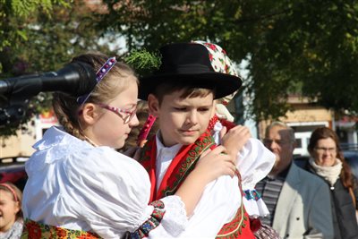 img 1516 resize
