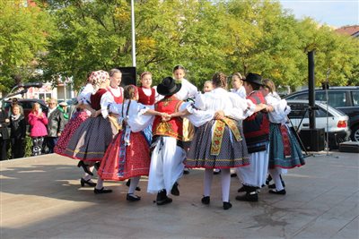 img 1522 resize