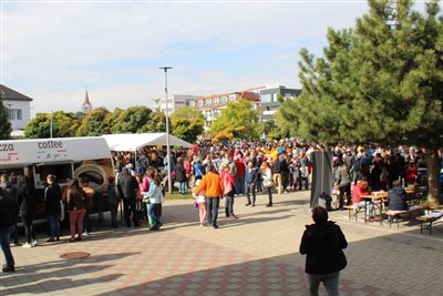 img 1592 resize