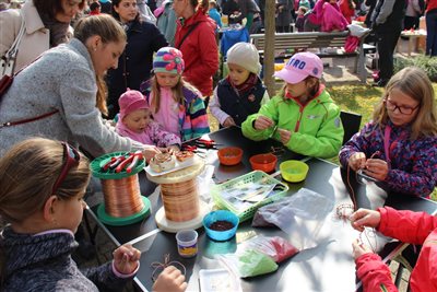 img 1604 resize