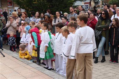 img 8256 resize