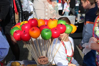 img 4590 resize