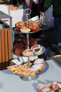 img 4593 resize
