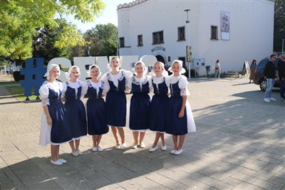 img 4646 resize