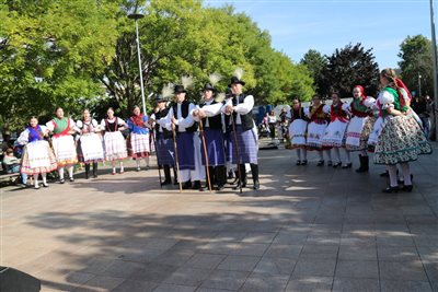 img 4666 resize