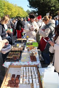 img 2375 resize