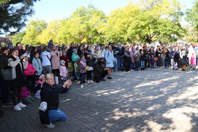 img 2384 resize