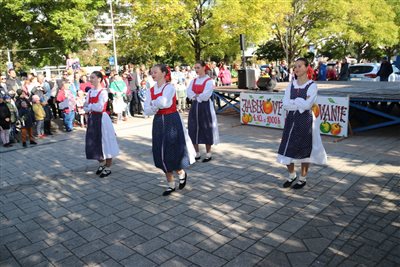 img 2401 resize