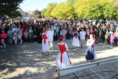 img 2404 resize