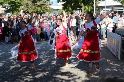 img 2415 resize