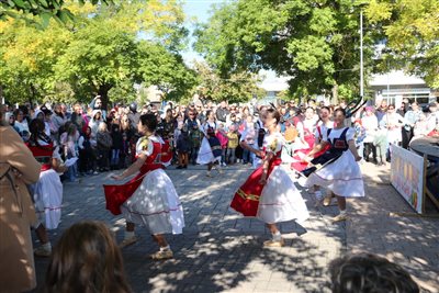 img 2416 resize