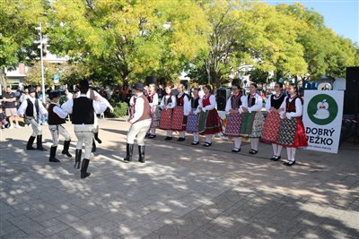 img 5405 resize