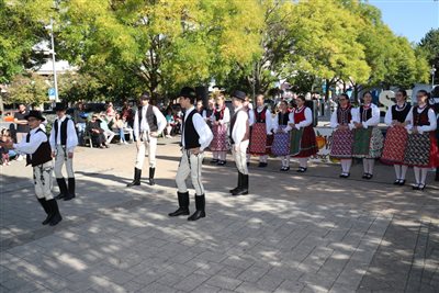 img 5406 resize