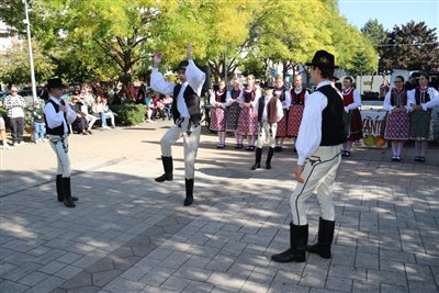 img 5408 resize
