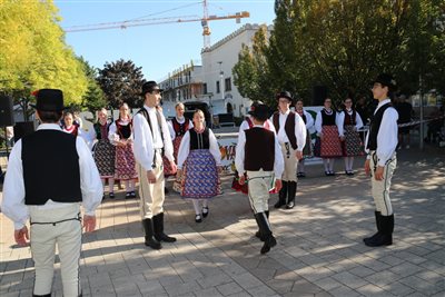 img 5410 resize