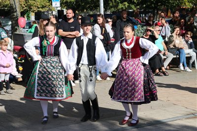 img 5416 resize